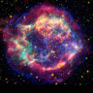 Meet your Posher, Annaree